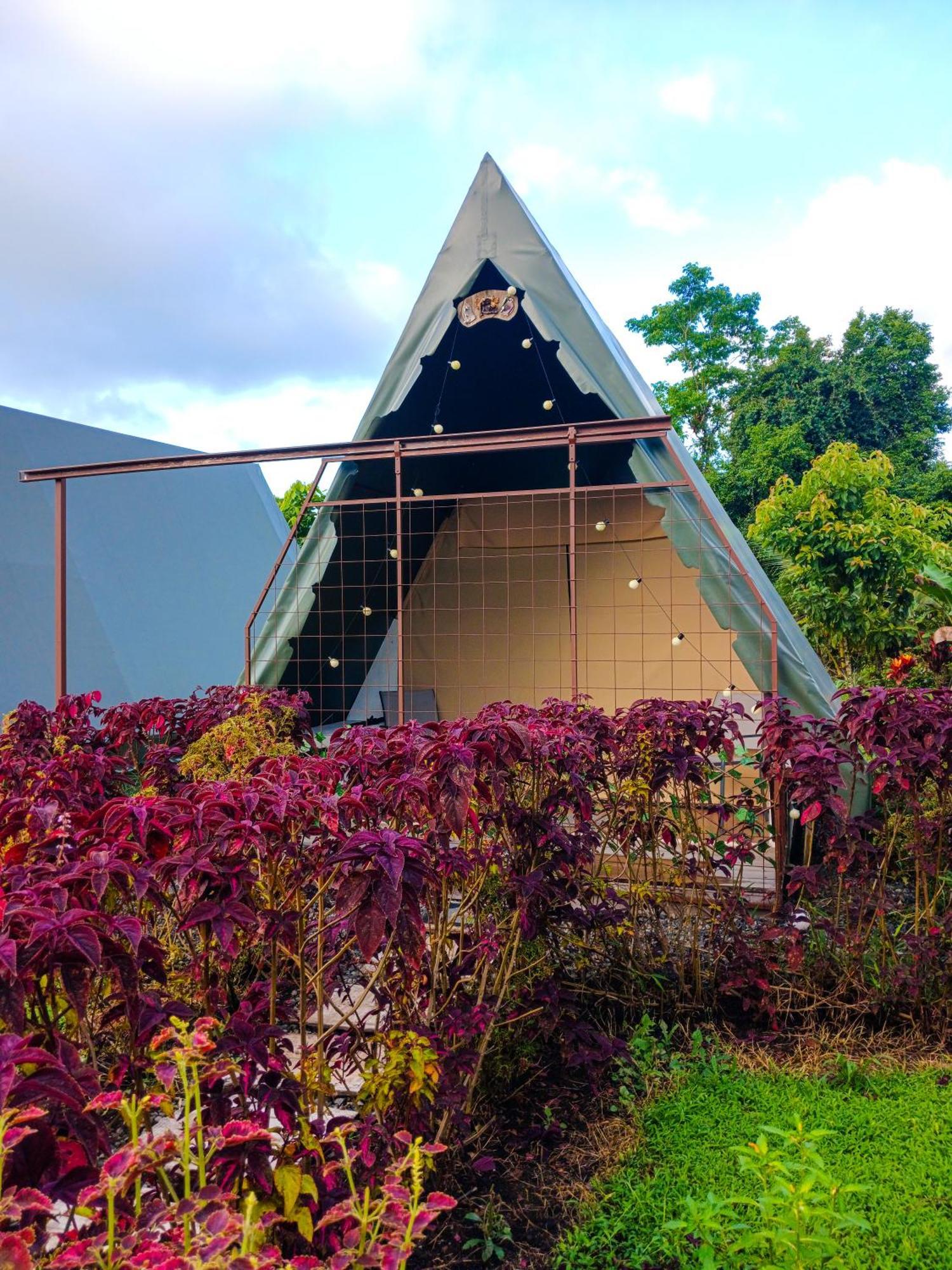Villa Flora Glamping De Abuela La Fortuna Exterior foto